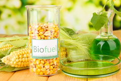 Hollocombe biofuel availability